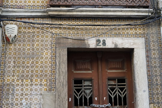 Nama Kemono photos, images, assets | Adobe Stock