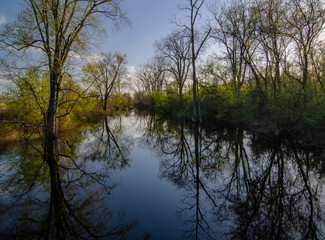 Fototapeta na wymiar 642-97 Portage River Reflections