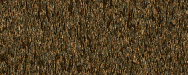 Bark tree texture background