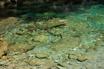 四国 安居渓谷 高知県の清流　仁淀川