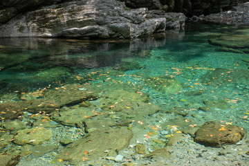 四国 安居渓谷 高知県の清流　仁淀川
