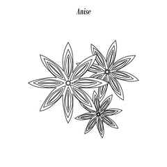 Anise illustration outline