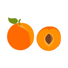 Apricot fruit illustration