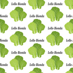 Lollo bionda lettuce seamless pattern
