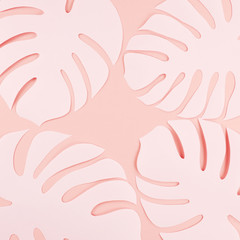 종이 야자수잎, 종이컨셉의 여름배경