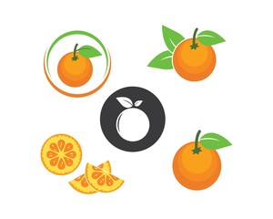 orange fruit icon vector logo illustration