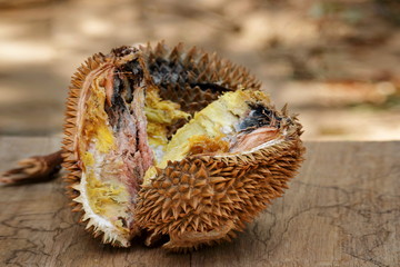 Durian fruit is rotten on the wood floor.