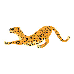 Leopard smack cute trend style, animal predator mammal, jungle