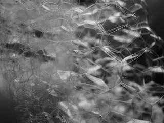 close up bubbles water foam background, abstract bubble soap texture