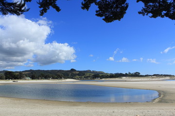 white snad and beach landscape