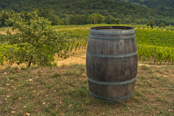 Obraz premium Hiking hills, backroads and vineyards at autumn, near Siena in Tuscany, Italy