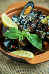 Plate with mussels on a gray background 