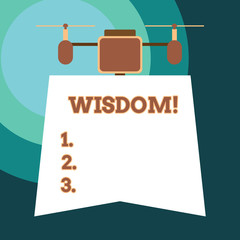 Handwriting text Wisdom. Conceptual photo quality having experience knowledge and good judgement something