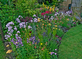 A colourful border in a cottage garden with Phlox and Campanula