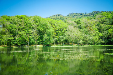 Fototapeta na wymiar Selva Negra in Matagalpa, lake and trees in the central mountain area of Nicaragua