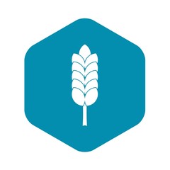 Big spica icon. Simple illustration of big spica vector icon for web