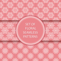 Pink and white floral seamless backgrounds. Compilation of patterns