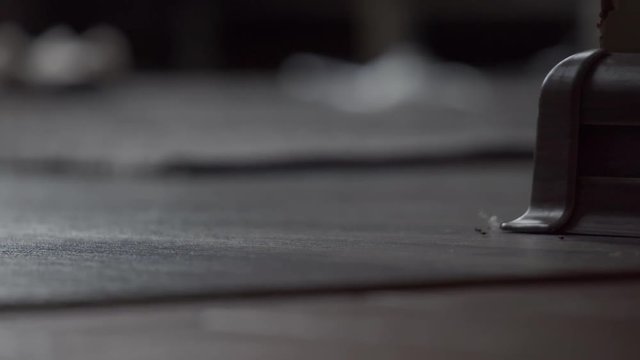 Termites or ants inside house bedroom