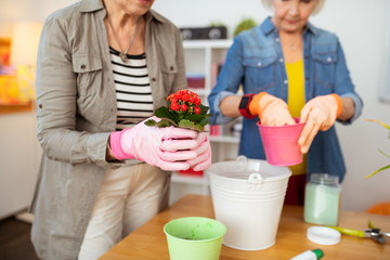 Selective focus of a flower in female hands