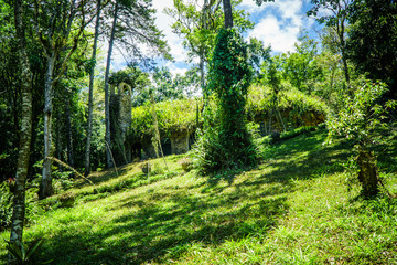 catholic stone church, ecology architecture, environmental concept