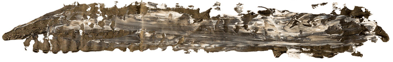 Black and white long oil texture paint stain brush stroke, hand painted, isolated on white background.