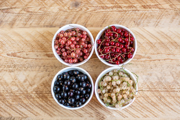Vitamins. Summer berries. Red currant background. Close up, selective focus. Harvest Concept.