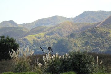 mountain and beach landscape in New Zealand