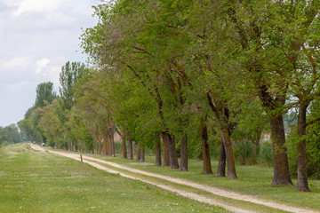 delta of the river po emilia romagna and veneto north italy