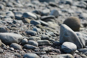 rocks on the beach and landscape