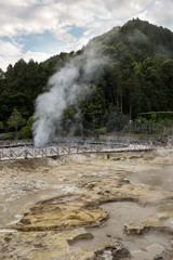 Erupting geysers, mud pools and fumaroles in Furnas province of Sao Miguel, Azores, Portugal.