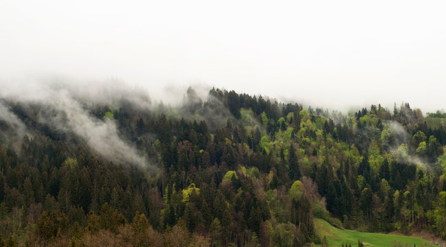 A beautiful hill in fog. Aplin countryside view.