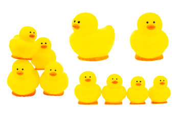 Yellow rubber duck on white background. Selective focus and copy space concept