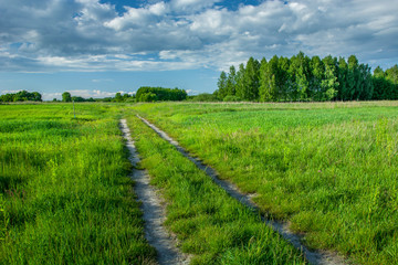 Fototapeta na wymiar Dirt road through green fresh fields, forest and clouds in the sky