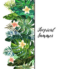 Tropical summer. Watercolor illustration. Beautiful postcard for you, set, frames, handmade. Background white. Different leaves and flowers