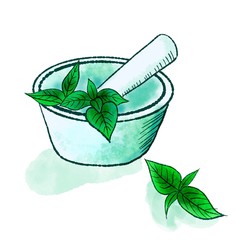 watercolor mortar and pestle with white background and shade 