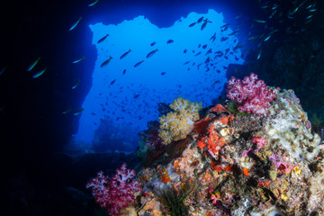 Fototapeta na wymiar An underwater archway on a tropical coral reef (Western Rocky, Myanmar)