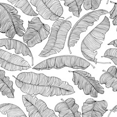 Seamless pattern of exotic, white banana leaves with a black outlines isolated on a transparent background. Decorative image with tropical foliage. Vector illustration.