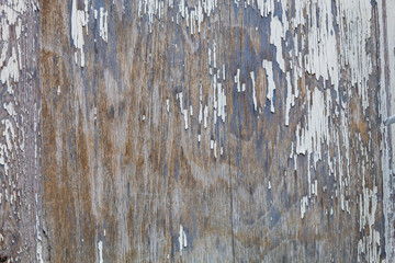 Old Weathered Damaged Wood Texture