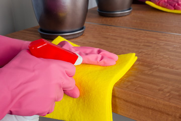 Happy girl cleaning table with furniture polish at home cleaning company services