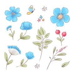 Set of wildflowers and butterflies. Hand drawing. Vector illustration