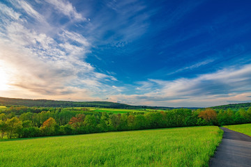 Green fields on a sunny summer day with a blue sky and a few white clouds