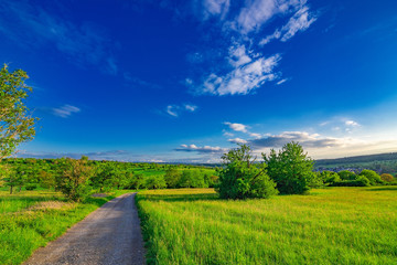 The path in the green fields with some trees, a blue sky and some few white clouds