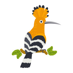 Vector cute African animal. Hoopoe. Funny character for kids. © nafanya241
