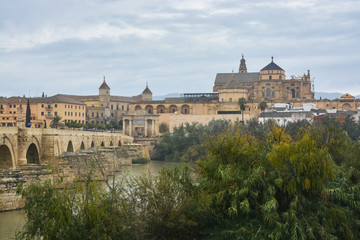 Fototapeta na wymiar Cordoba in November. Roman Bridge and Mezquita.