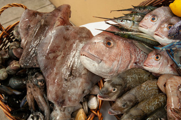 Australian Seafood Varieties