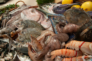 Australian Seafood Varieties