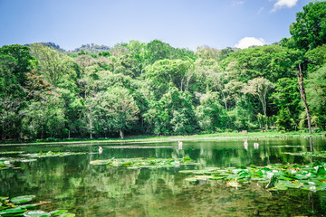 Selva Negra in Matagalpa, lake and trees in the central mountain area of Nicaragua