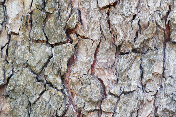 texture