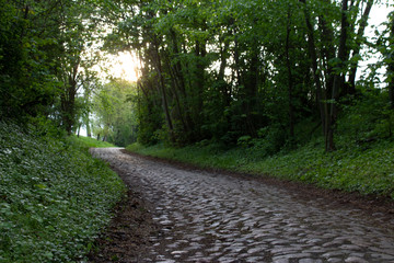 Der gepflasterte Waldweg