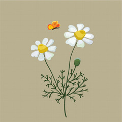 Field camomile embroidered with satin stitch on a beige background. Vector illustration